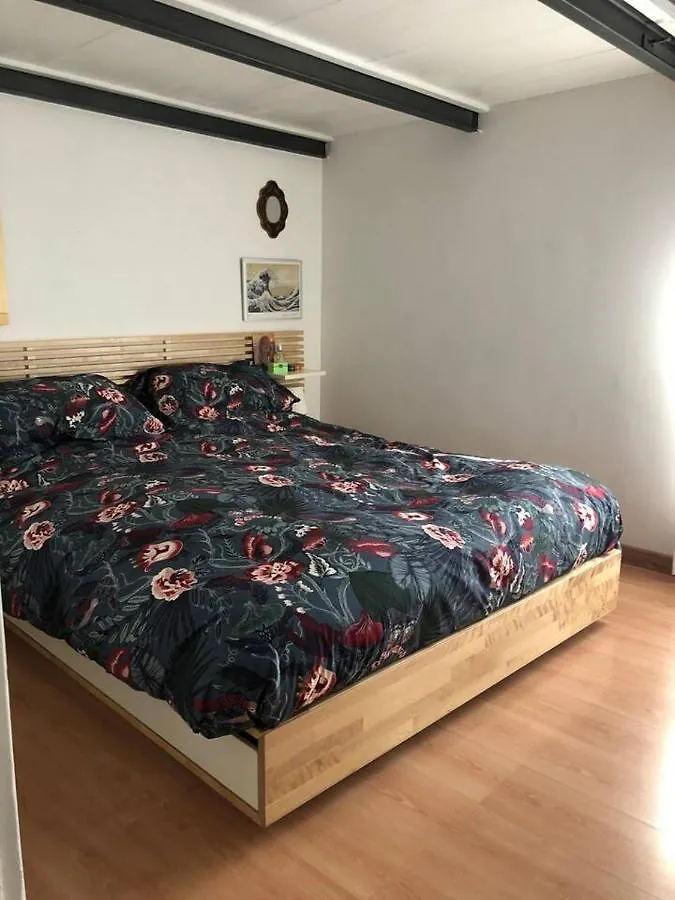 Monti Parioli House Lägenhet Rom